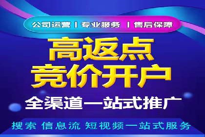 揭秘SEM竞价托管：实战案例深度解析